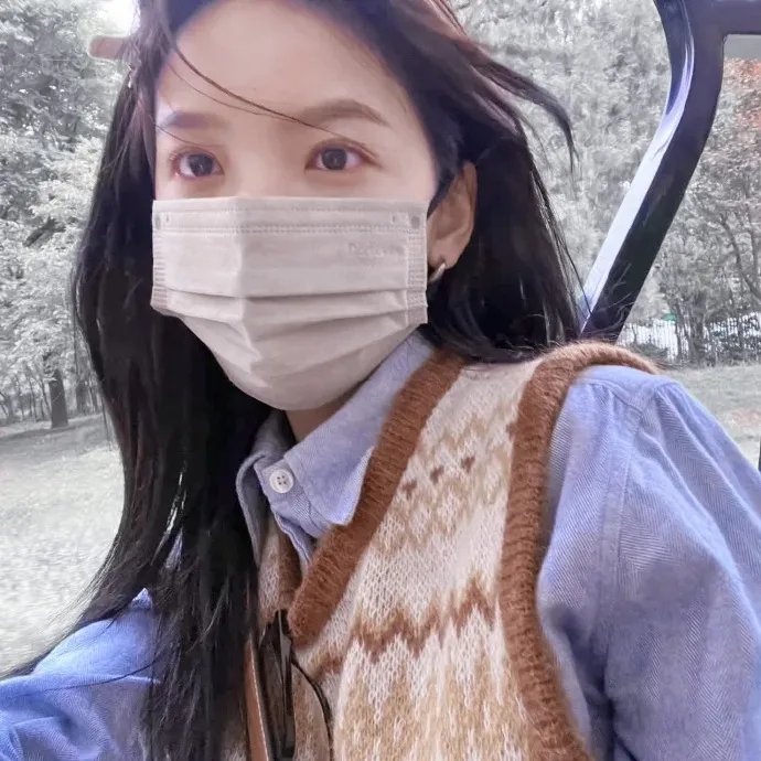 圣诞王子：皇家婚礼